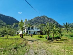 a house with palm trees in front of a mountain at Mountain view house in Sasaima