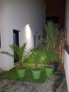 a group of four potted plants sitting next to a building at L'Escapade T1 de 30 m2 neuf. in Granville