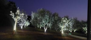 Zdjęcie z galerii obiektu Hacienda MATEA - jacuzzi, pool, playground & bbq in an olive grove near beaches, Pula - Istria w Puli