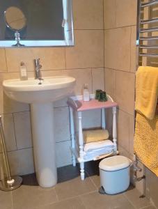 a bathroom with a sink and a toilet at Garden Apartment Morpeth- with lockable bike storage! in Morpeth
