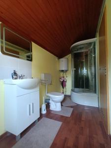 y baño con aseo, lavabo y ducha. en Kuća za odmor Dunavski raj en Batina