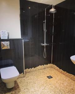 a bathroom with a shower and a toilet and a sink at Self contained 1 bedroomed Annex with street parking in Ilkeston