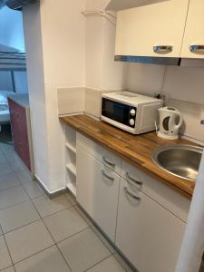 eine Küche mit einer Spüle und einer Mikrowelle auf der Theke in der Unterkunft Piata Uniri Cozy Inn in Bukarest