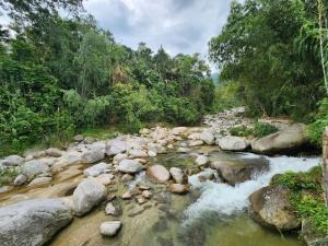 une rivière dans la jungle avec des rochers et des arbres dans l'établissement Dong Que Homestay, à Ha Giang