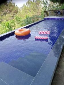 a swimming pool with two inflatables in the water at villa 33 in Kasauli