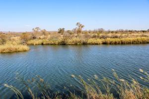 Fotografie z fotogalerie ubytování Royal Morubisi River Lodge v destinaci The Waterberg Biosphere