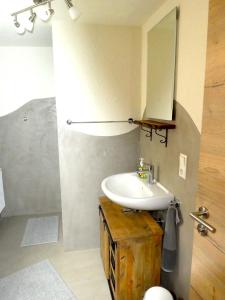 La salle de bains est pourvue d'un lavabo et d'un miroir. dans l'établissement Alte Schreinerei, à Lützelbach