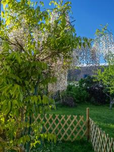 a tree with white flowers hanging over a fence at Exquisite tiny house with garden and air con - between Paris-Disneyland - 3mins from train station in Noisy-le-Grand