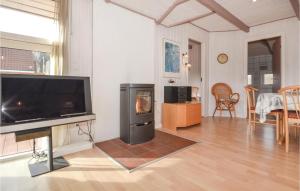 een woonkamer met een flatscreen-tv en een open haard bij Nice Home In Haderslev With Kitchen in Kelstrup Strand