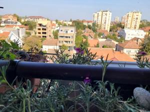 Nespecifikovaný výhled na destinaci Novi Sad nebo výhled na město při pohledu z ubytování v soukromí