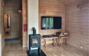 Habitación con estufa de leña y TV. en 3 Bedroom Cozy Home In Farsund en Farsund