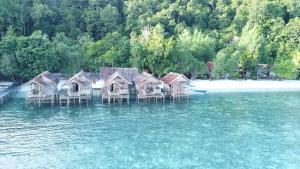 WaisaiFirdas Bungalows的一群坐在水中的房屋