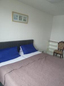 ドルマーゲンにあるMessewohnung Dormagenのベッドルーム1室(青い枕と椅子付きのベッド1台付)