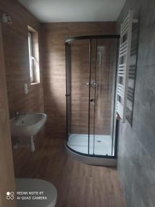 a bathroom with a shower and a sink at Pokoje Green House in Ustroń