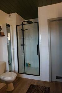 uma casa de banho com uma cabina de duche em vidro e um WC. em Ruime en centrale woning zuidrand Antwerpen em Aartselaar