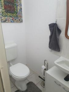 a bathroom with a white toilet and a sink at Messewohnung Dormagen in Dormagen