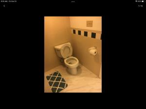 La salle de bains est pourvue de toilettes et d'un tapis. dans l'établissement Gateway en-suite bedroom next jhu, à Baltimore