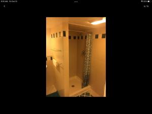 ボルチモアにあるGateway en-suite bedroom next jhuのバスルーム(シャワー、シャワーカーテン付)