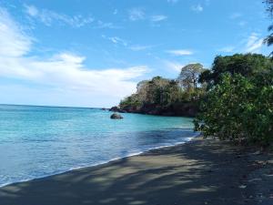 uma praia negra com árvores e o oceano em Cabinas Agua Luna (Frente al Mar) em Puerto Jiménez