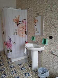 uma casa de banho com uma cortina de chuveiro e um lavatório em VILLA ESMERALDA em Pozzilli