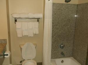 Koupelna v ubytování Comfort Inn & Suites