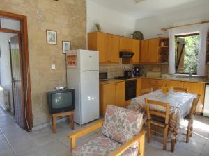 Kuchyň nebo kuchyňský kout v ubytování Spanos House