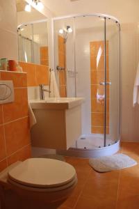 a bathroom with a shower and a toilet and a sink at Studio Glass Vysočina in Škrdlovice
