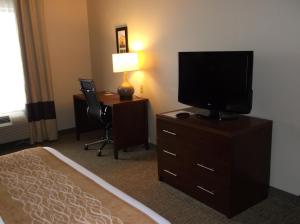 TV a/nebo společenská místnost v ubytování Comfort Inn & Suites