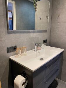 a bathroom with a white sink and a mirror at B&B Het Nijenhuis in Diffelen