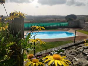 A piscina em ou perto de Casal Serrano Charme e Tranquilidade