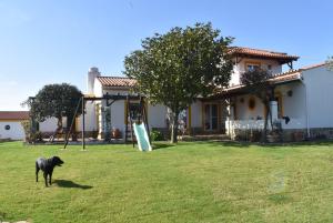 um cão parado num quintal com um parque infantil em Casal Serrano Charme e Tranquilidade em Reguengo Grande