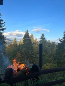 un incendio está siendo incendiado en un bosque en Біла хата, en Iltsi