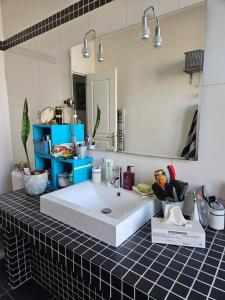 La salle de bains est pourvue d'un grand lavabo blanc et d'un miroir. dans l'établissement Maison de ville avec jardin., à Courbevoie