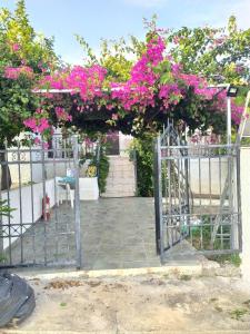 a pergola with pink flowers on top of it at σπίτι - αγρόκτημα in Porto Heli