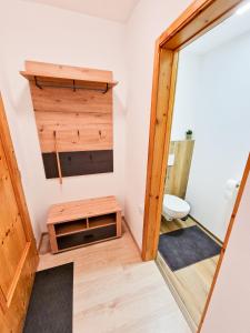 ein Bad mit einem Waschbecken und einem WC in einem Zimmer in der Unterkunft LOBE Apartment in Bad Mitterndorf