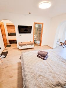 ein Wohnzimmer mit einem großen Bett und einem Flachbild-TV in der Unterkunft LOBE Apartment in Bad Mitterndorf