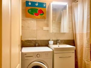 een kleine badkamer met een wasmachine en een wastafel bij The Way Up in Kotor