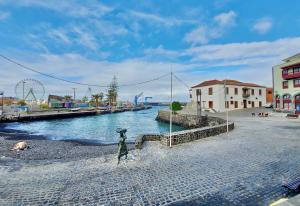 eine Statue auf der Seite eines Flusses in der Unterkunft Miranda Penthouse AD with FREE PARKING in Puerto de la Cruz