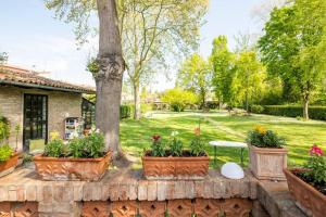 une cour avec trois plantes en pot et un arbre dans l'établissement La Casa di Marina, à Ferrare