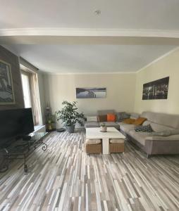 a living room with a couch and a tv at Homelière in Villeneuve-sur-Bellot