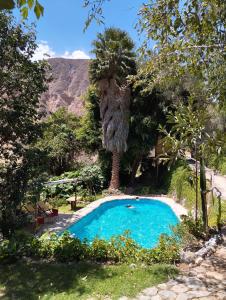 a swimming pool in a garden with a palm tree at Sangalle Cielo Lodge in Malata