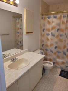 een badkamer met een wastafel, een toilet en een douche bij Kanata Prime Location, Ottawa in Ottawa