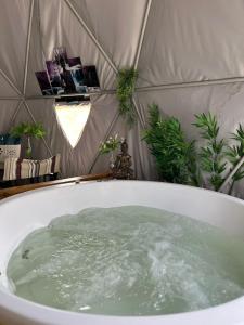 uma banheira cheia de água numa tenda em Refúgio Santa Helena - Domo Zen em Salesópolis