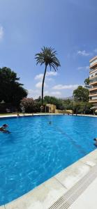 a large blue swimming pool with a palm tree in the background at Moderno Estudio en Torremolinos in Torremolinos