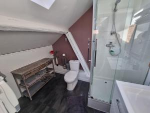 a bathroom with a toilet and a shower and a sink at Nid douillet au cœur du vignoble alsacien in Kintzheim +17 photos