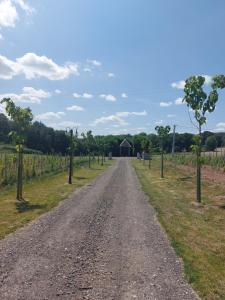 a dirt road with trees and a barn in the distance at La Ferme de Sotrez 