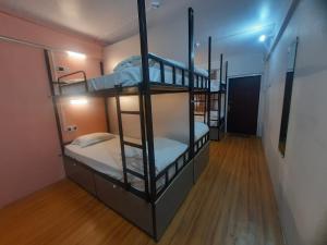 a room with three bunk beds and a hallway at Bubble Beds in Darjeeling