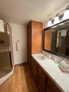 een badkamer met een wastafel en een spiegel bij Berkshire Inn in Groveland
