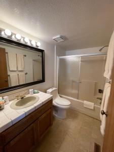 uma casa de banho com um lavatório, um WC e um chuveiro em Berkshire Inn em Groveland
