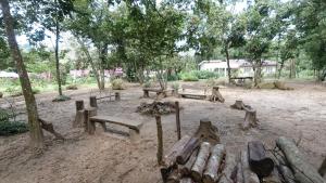 a group of benches in a park with trees at CAMPSITE CMM YAN KEDAH in Yan